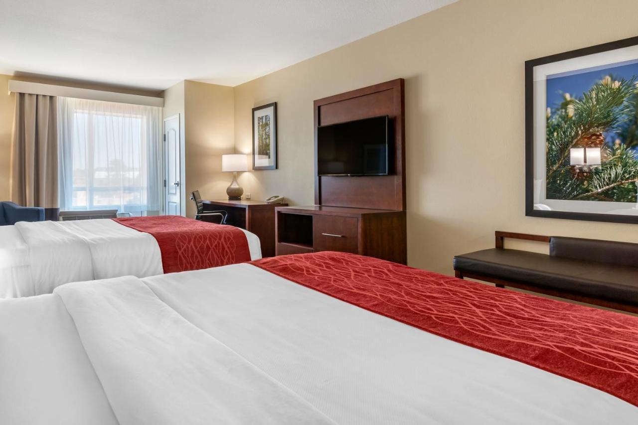 Comfort Inn & Suites Tifton Ruang foto